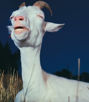 like changing from jeans to pajama bottoms