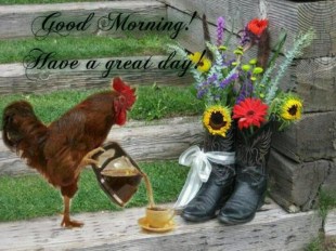 rooster and cowboy boots