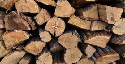 firewood-pile